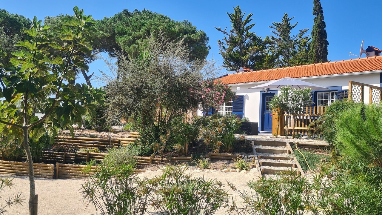 Photo of Outdoor in Obidos