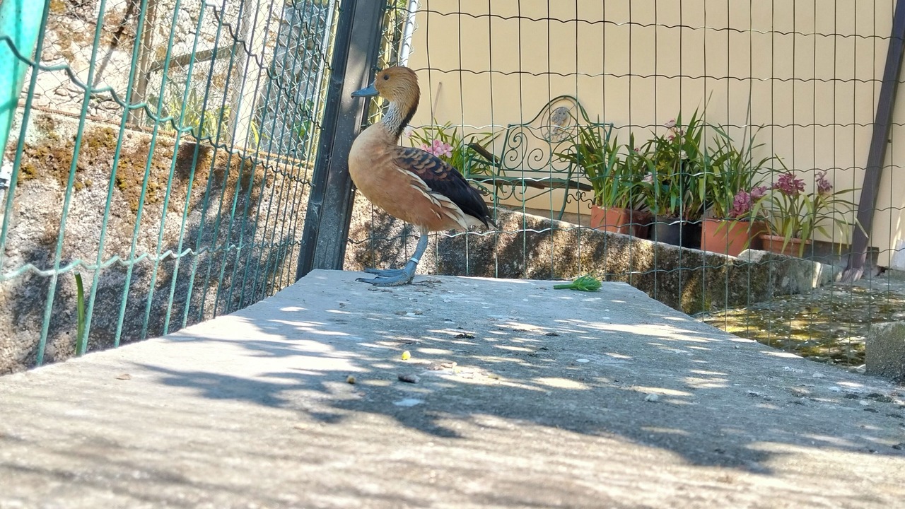 Photo of Outdoor in Ancora