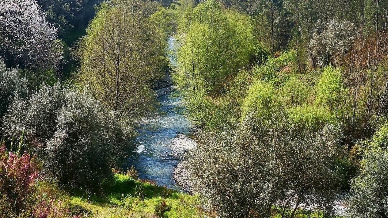 Photo of Others in Proenca-a-Nova