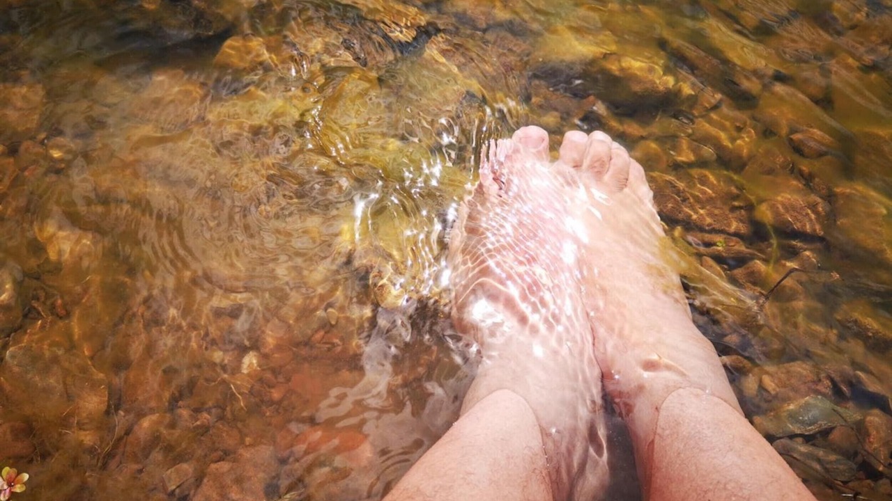 Photo of Others in Proenca-a-Nova