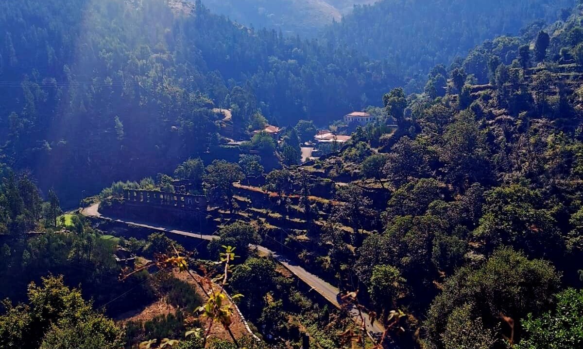 Photo of Others in Arouca