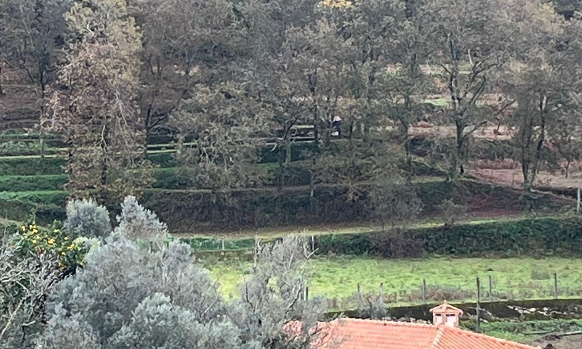 Photo of Others in Pico