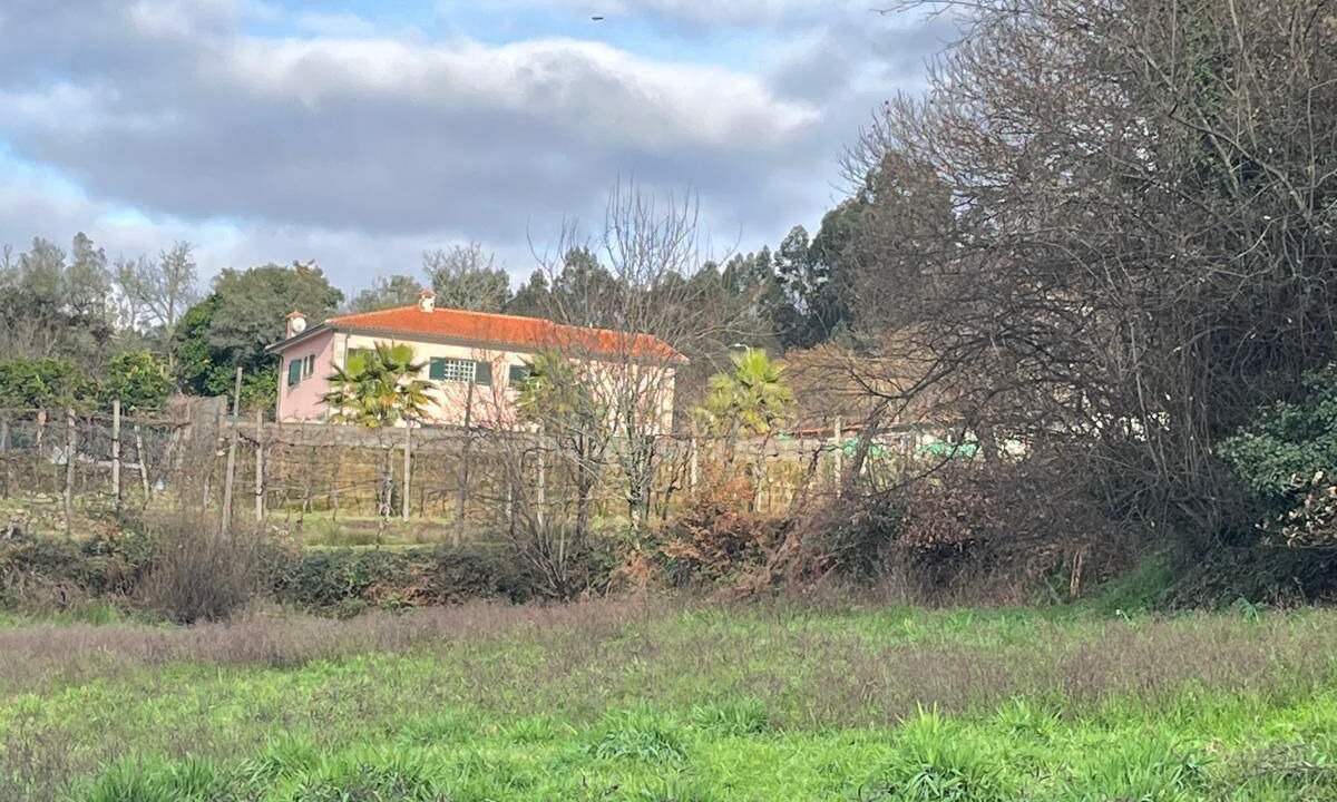 Photo of Others in Pico
