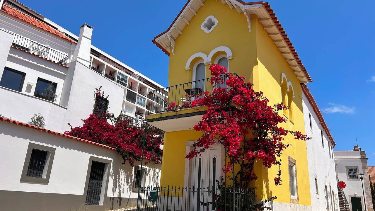 Photo of Outdoor in Paco De Arcos