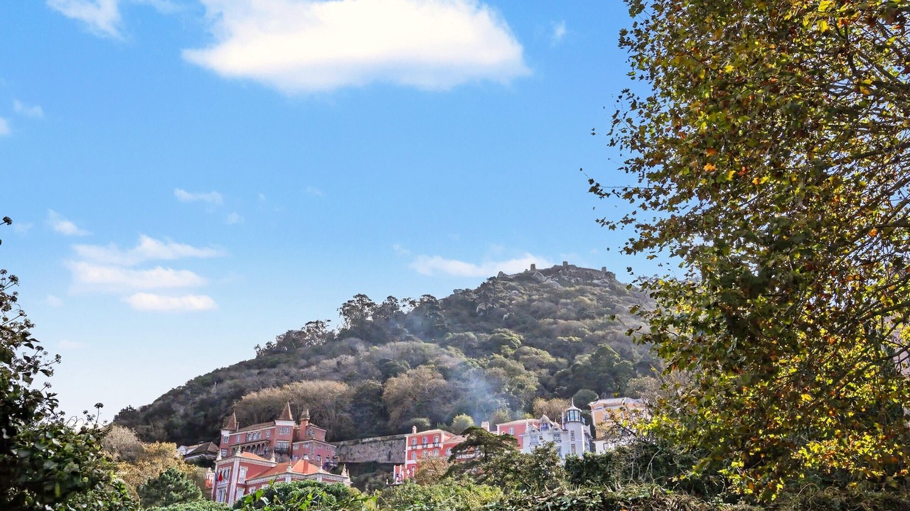 Photo of Others in Varzea de Sintra