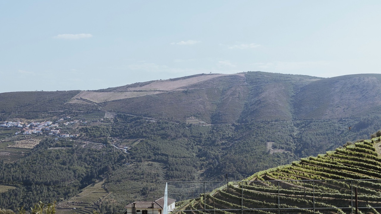 Photo of Outdoor in Provesende