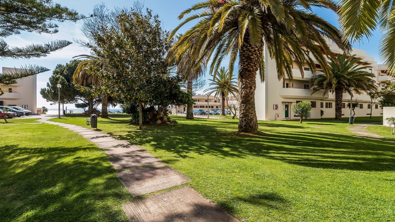 Photo of Outdoor in Ameijeira