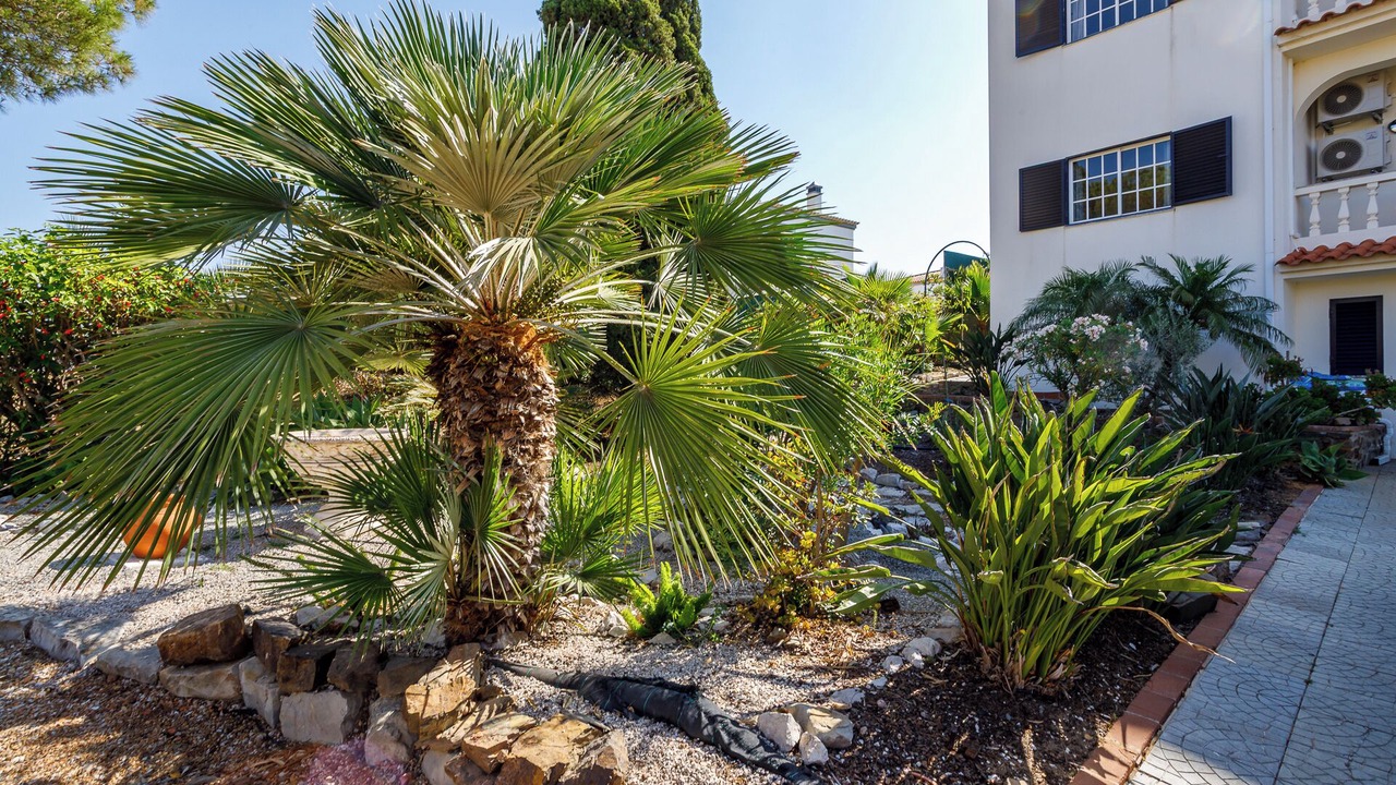 Photo of Outdoor in Castro Marim