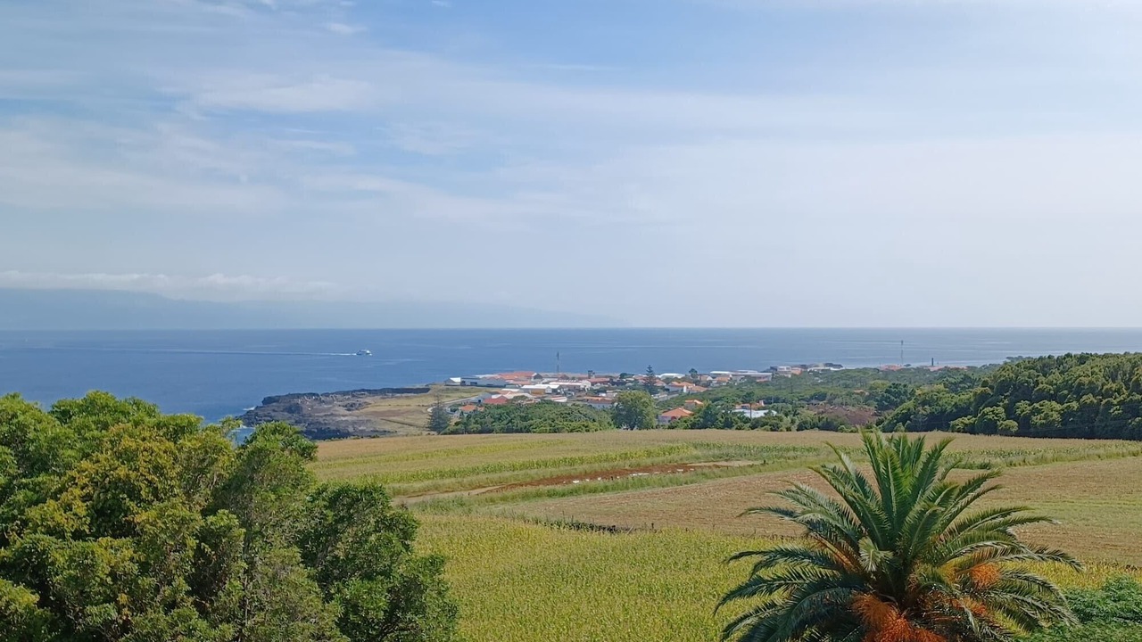 Photo of Others in Sao Roque do Pico