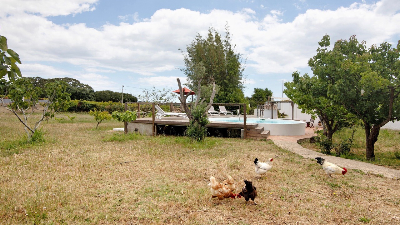 Photo of Outdoor in Tavira