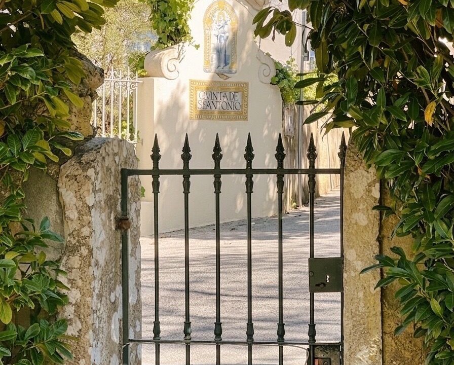Photo of Outdoor in Sintra
