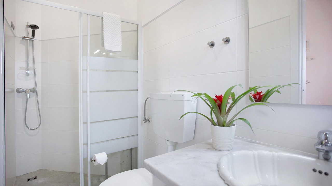 Photo of Bathroom in Banzao