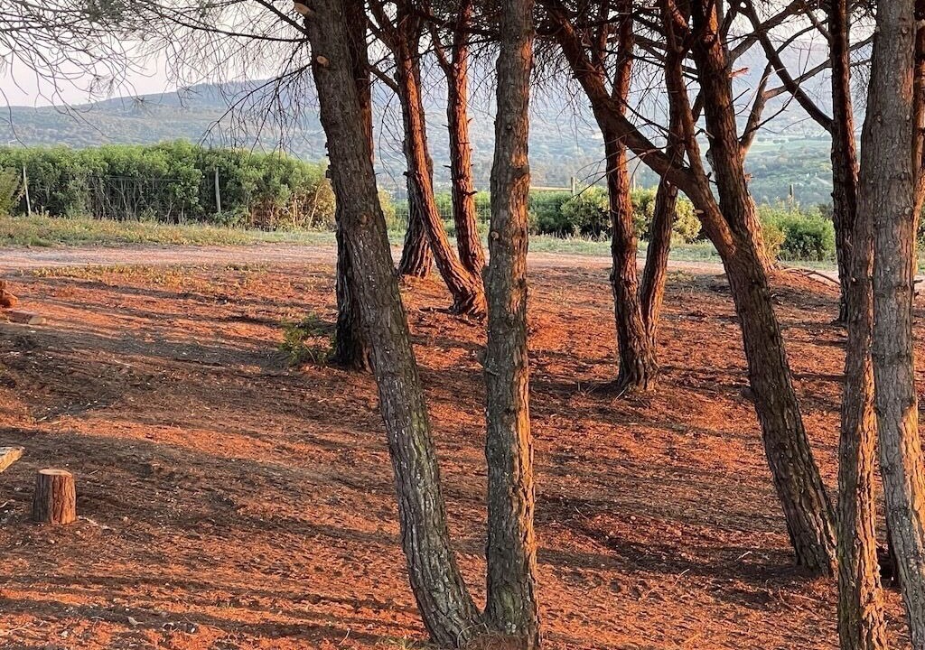 Photo of Outdoor in Aldeia de Irmaos