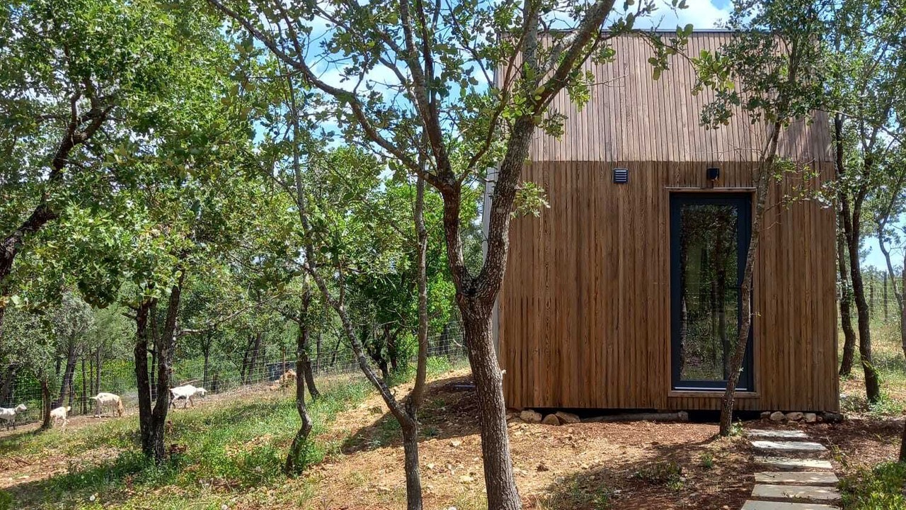 Photo of Outdoor in Santa Maria dos Olivais