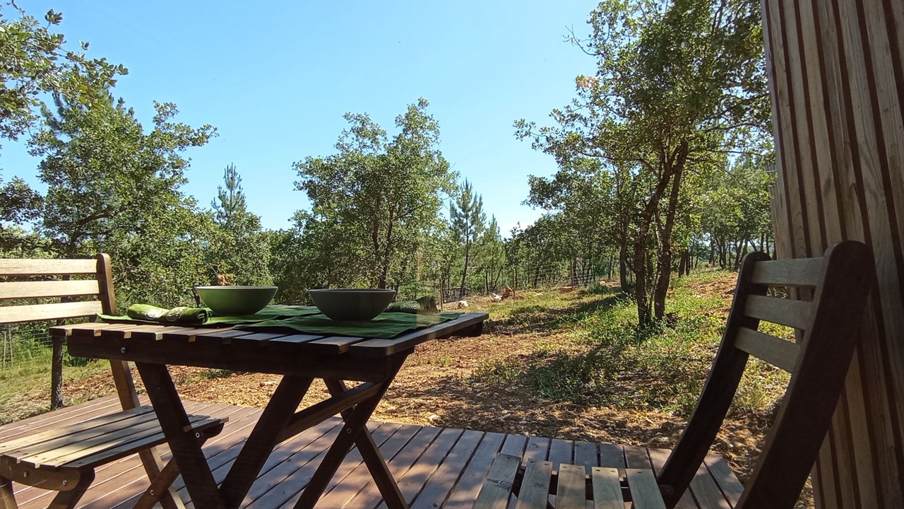 Photo of Outdoor in Santa Maria dos Olivais