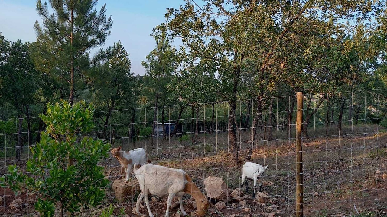 Photo of Outdoor in Santa Maria dos Olivais