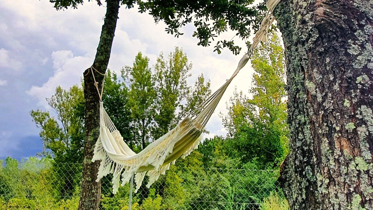 Photo of Outdoor in Baiao