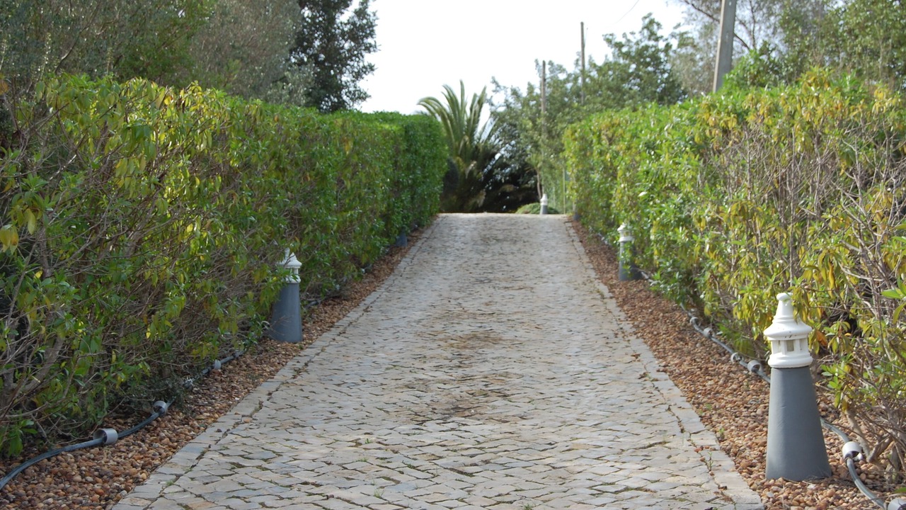 Photo of Outdoor in Benatrite