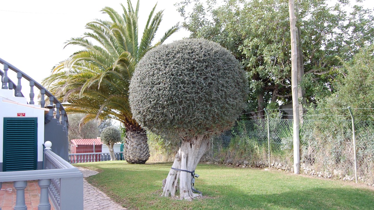 Photo of Outdoor in Benatrite