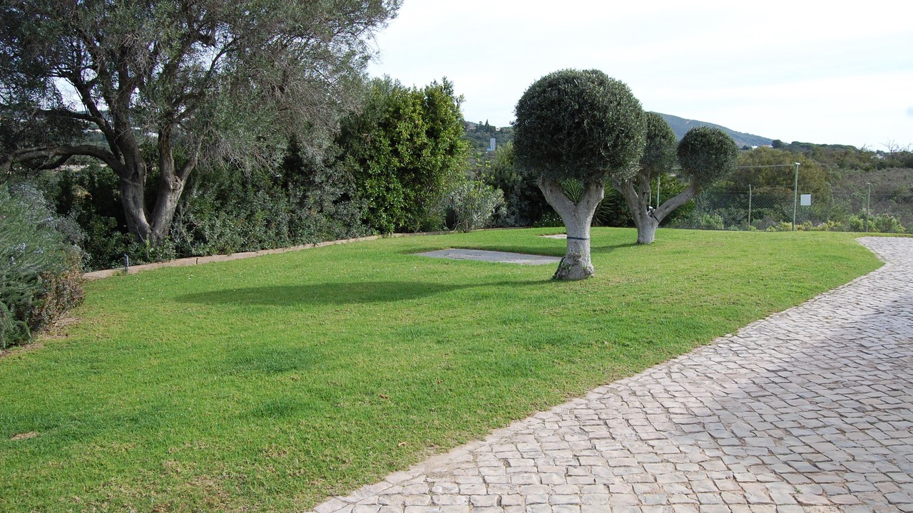 Photo of Outdoor in Benatrite