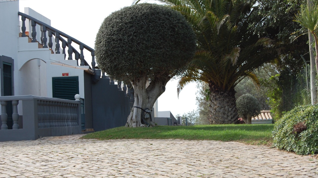 Photo of Outdoor in Falfosa