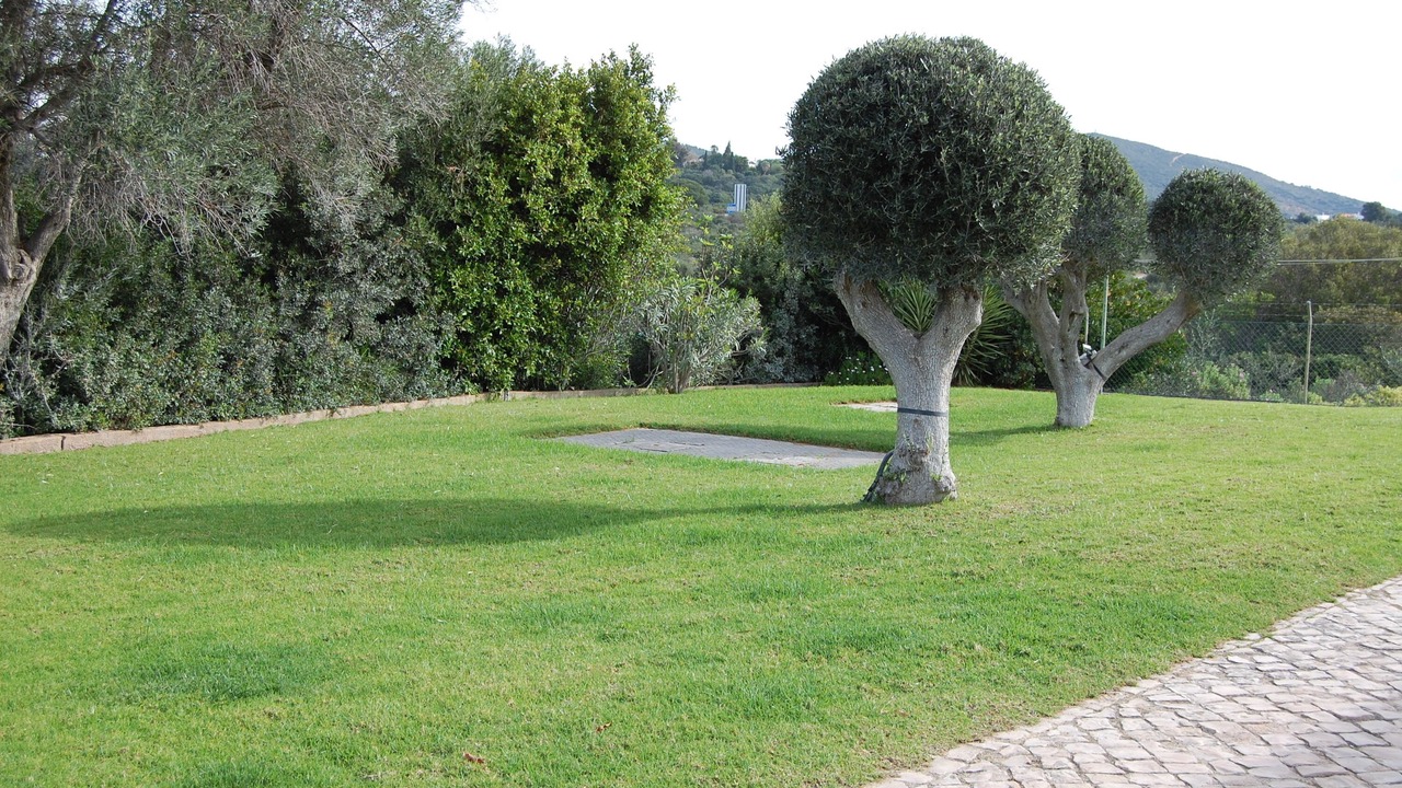 Photo of Outdoor in Falfosa
