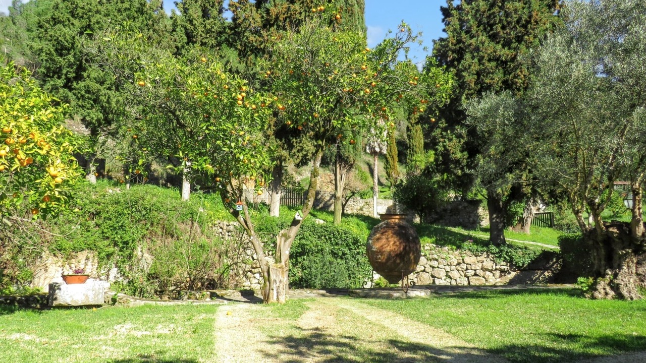 Photo of Outdoor in Sao Joao Batista