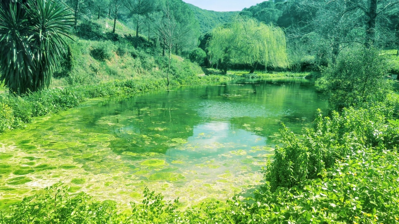 Photo of Outdoor in Sao Joao Batista