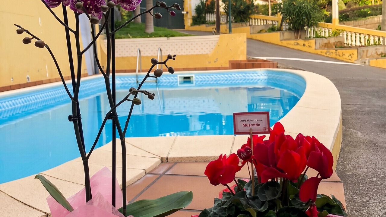 Photo of Outdoor in Estrela da Calheta