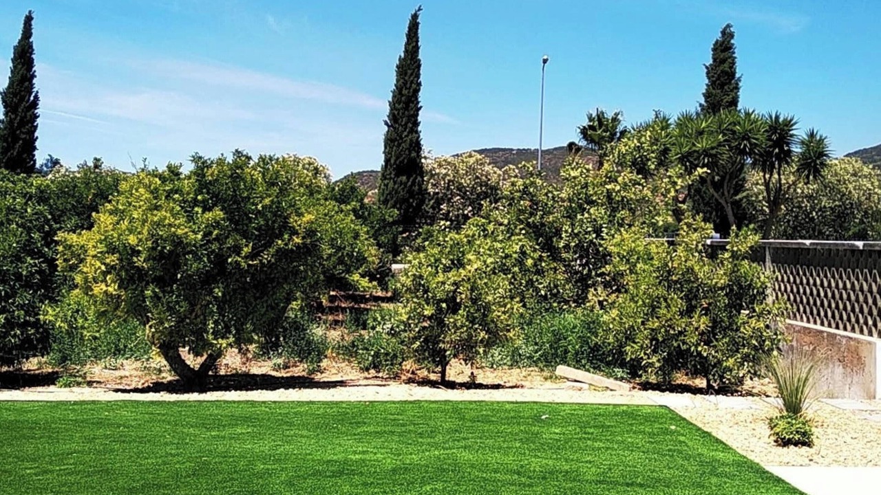 Photo of Outdoor in Vale de Seixos