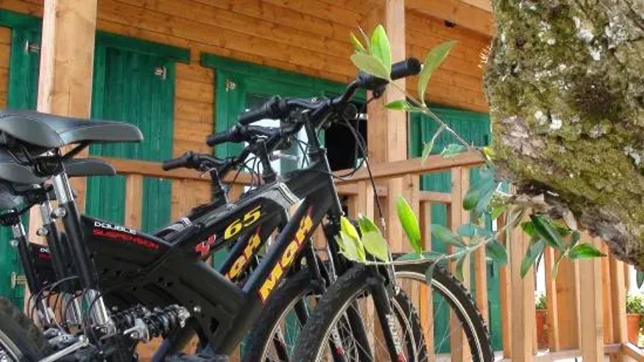 Photo of Outdoor in Vilar da Mo