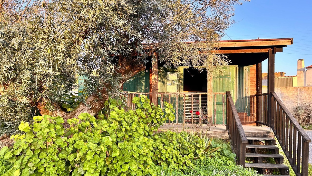 Photo of Outdoor in Vilar da Mo