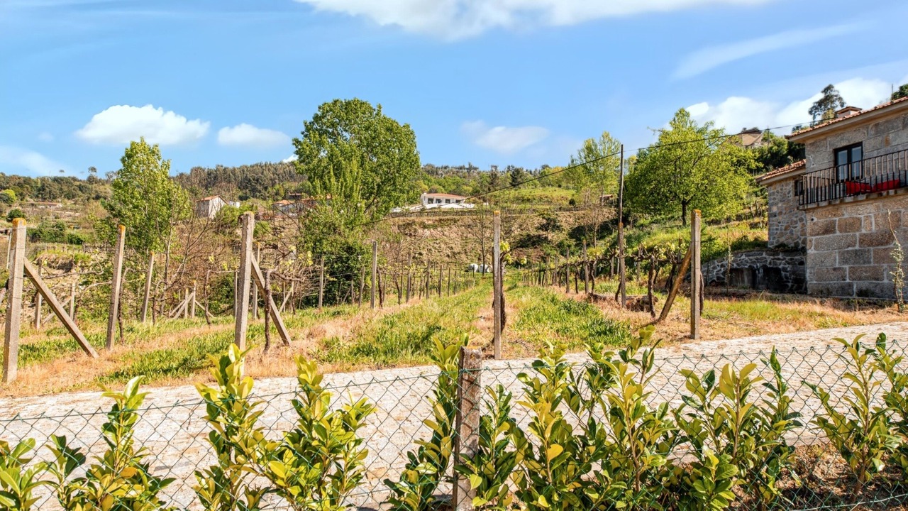 Photo of Outdoor in Castelo de Paiva