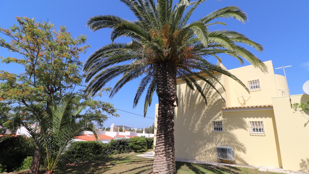 Photo of Outdoor in Mato Serrao