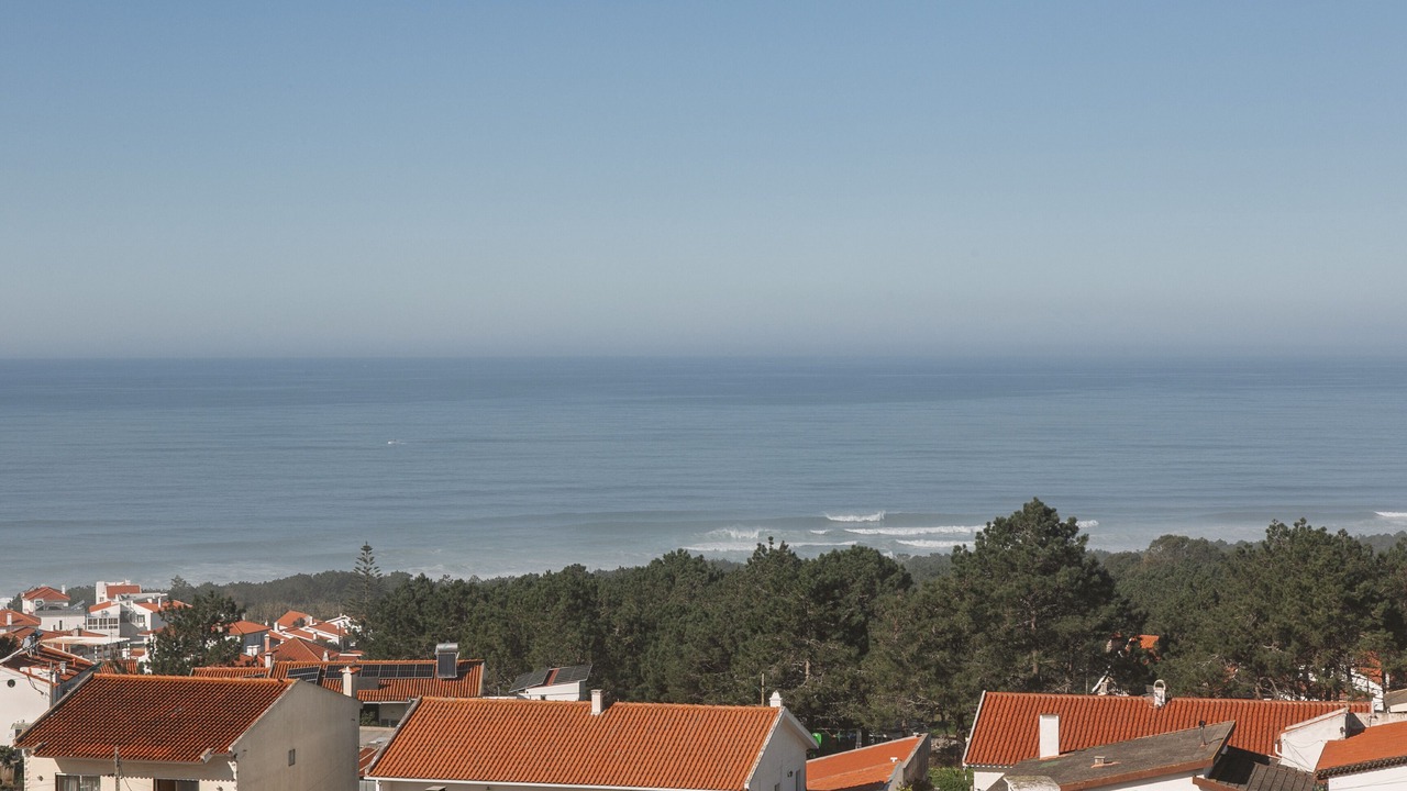 Photo of Others in Nazare