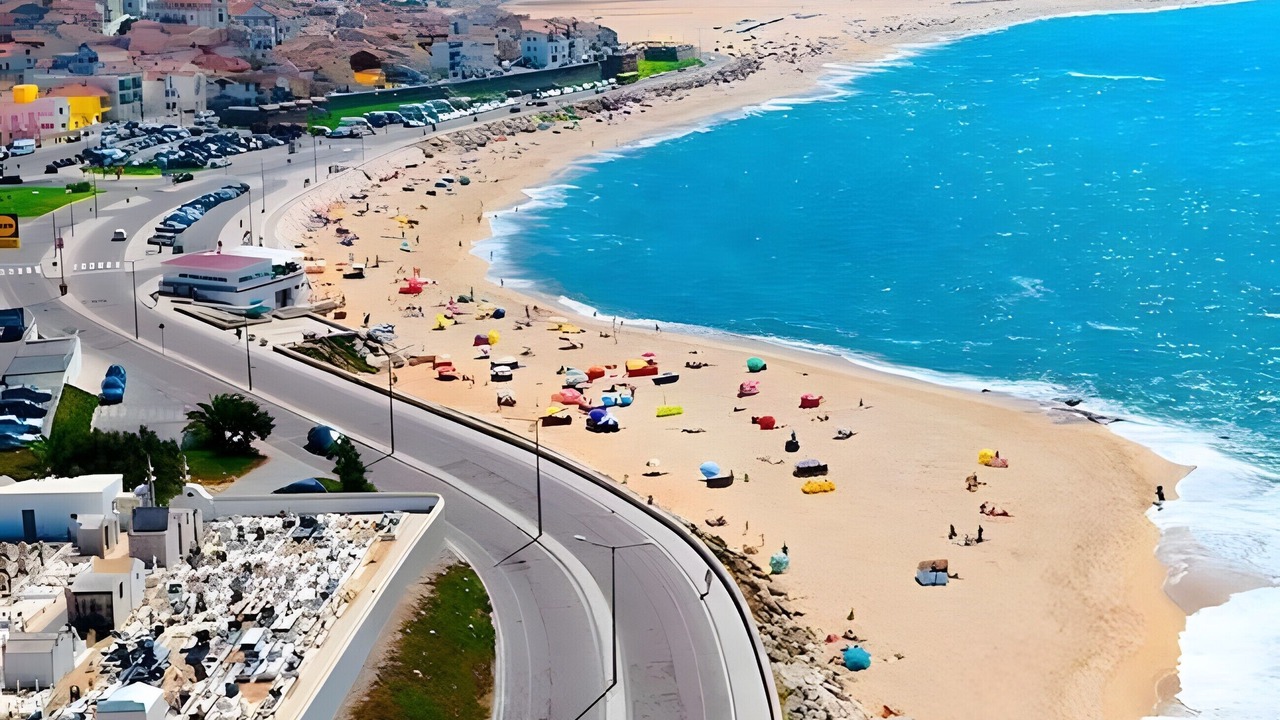 Photo of Others in Sao Juliao da Figueira da Foz