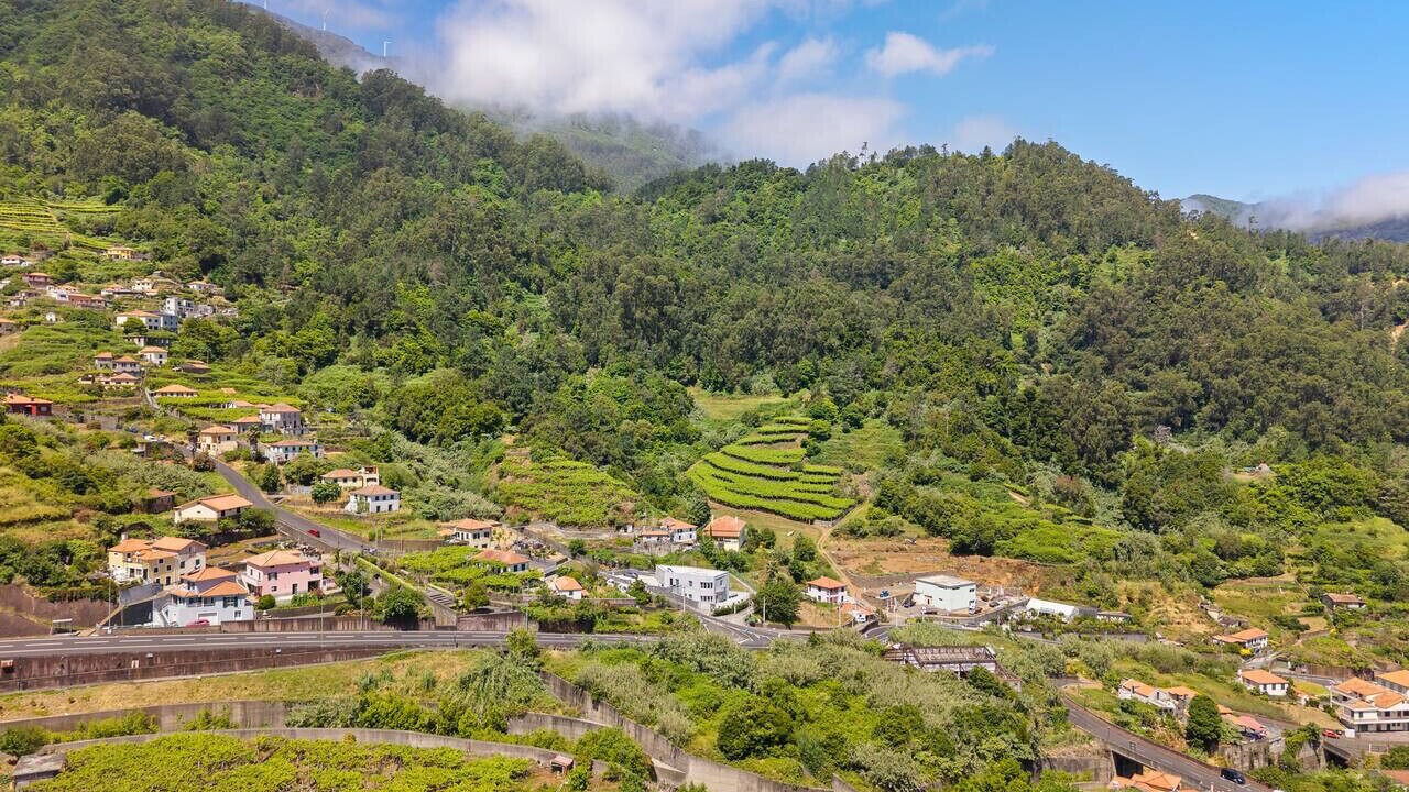 Photo of Others in Sao Vicente