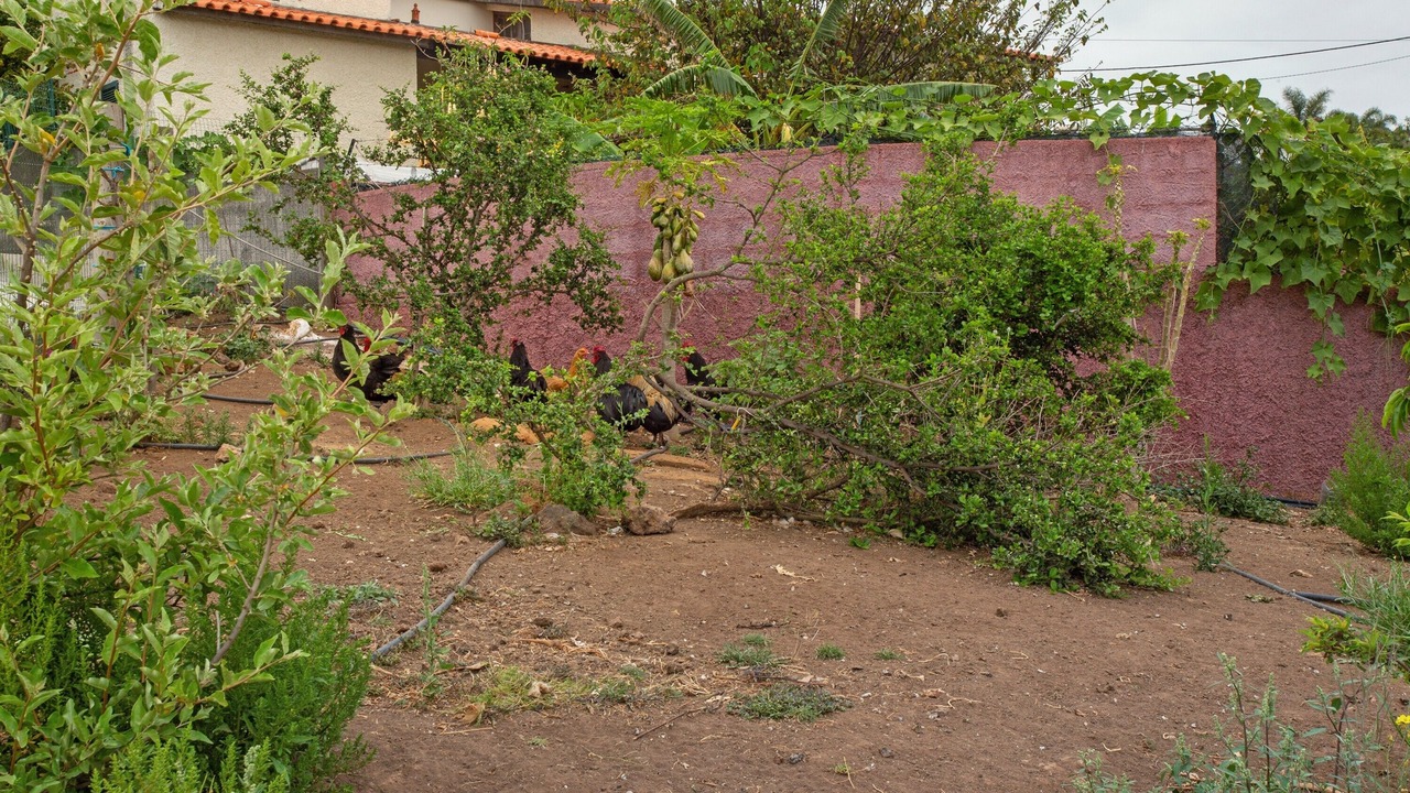 Photo of Outdoor in Canico