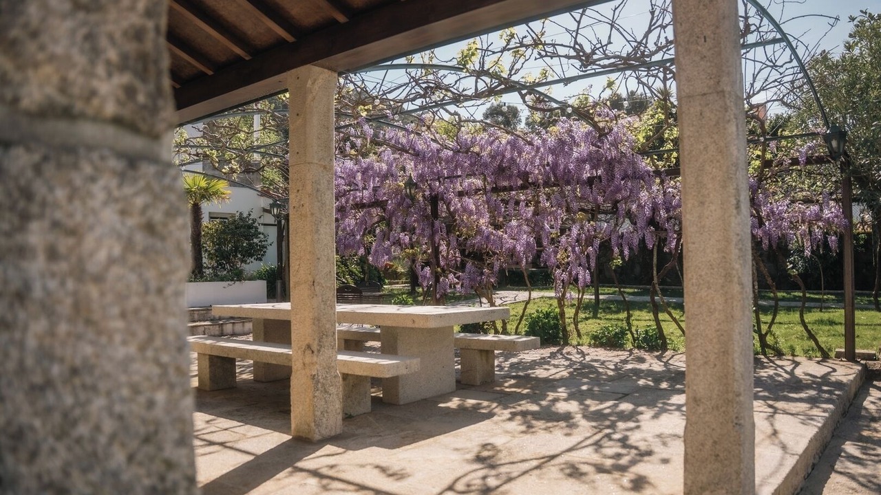 Photo of Outdoor in Areosa