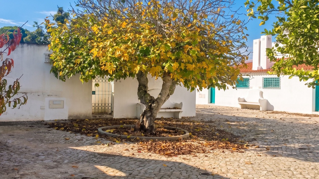 Photo of Outdoor in Prainha