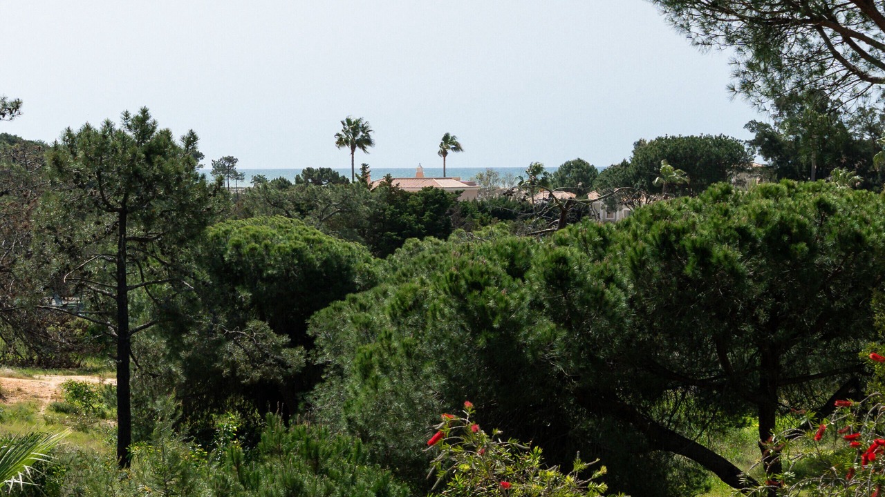 Photo of Others in Quinta do Lago