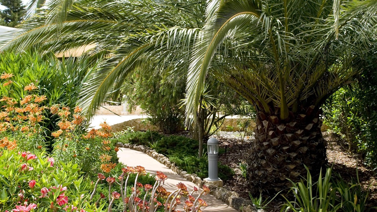 Photo of Outdoor in Funchal