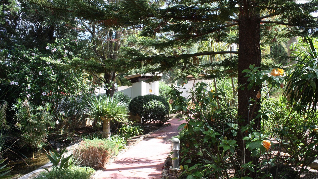 Photo of Outdoor in Funchal