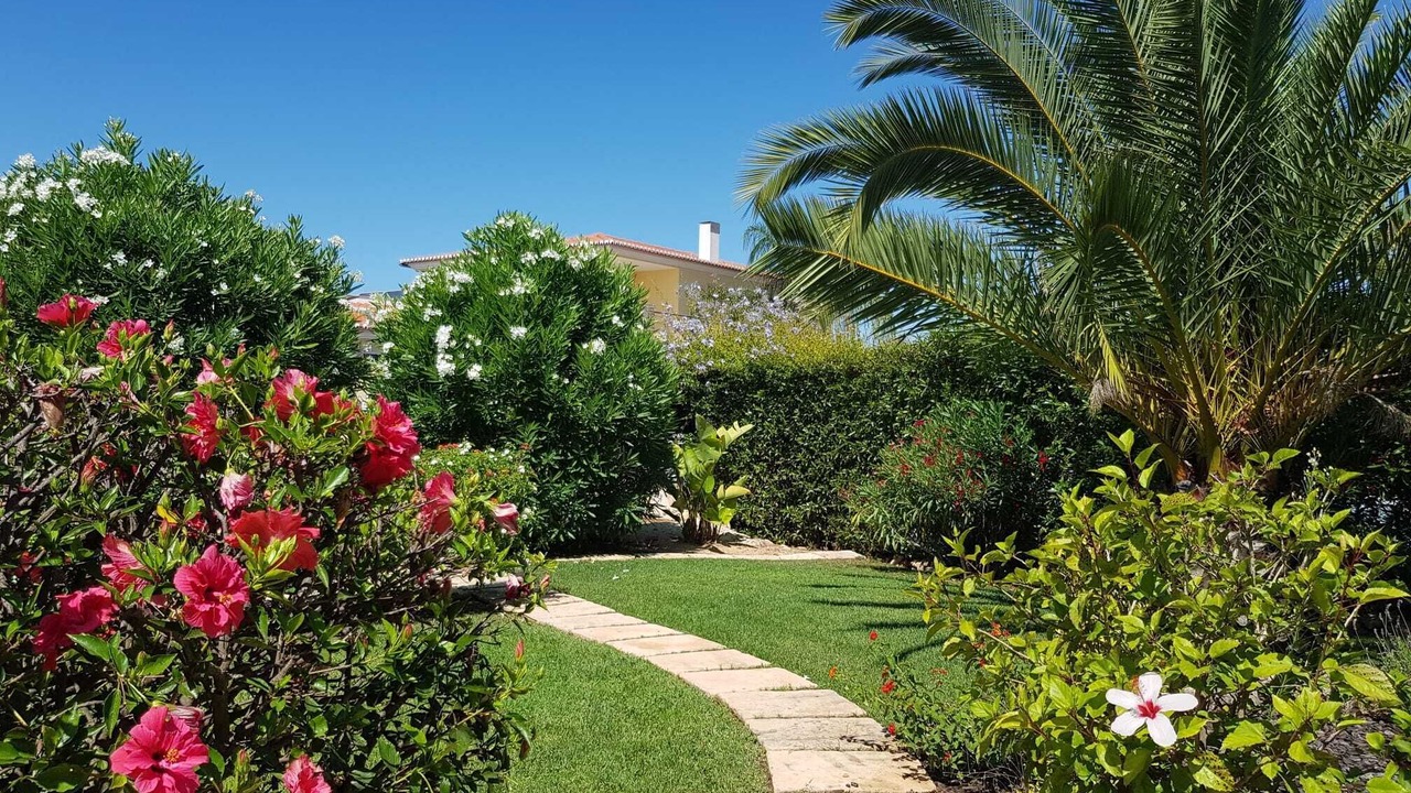 Photo of Outdoor in Mato Serrao