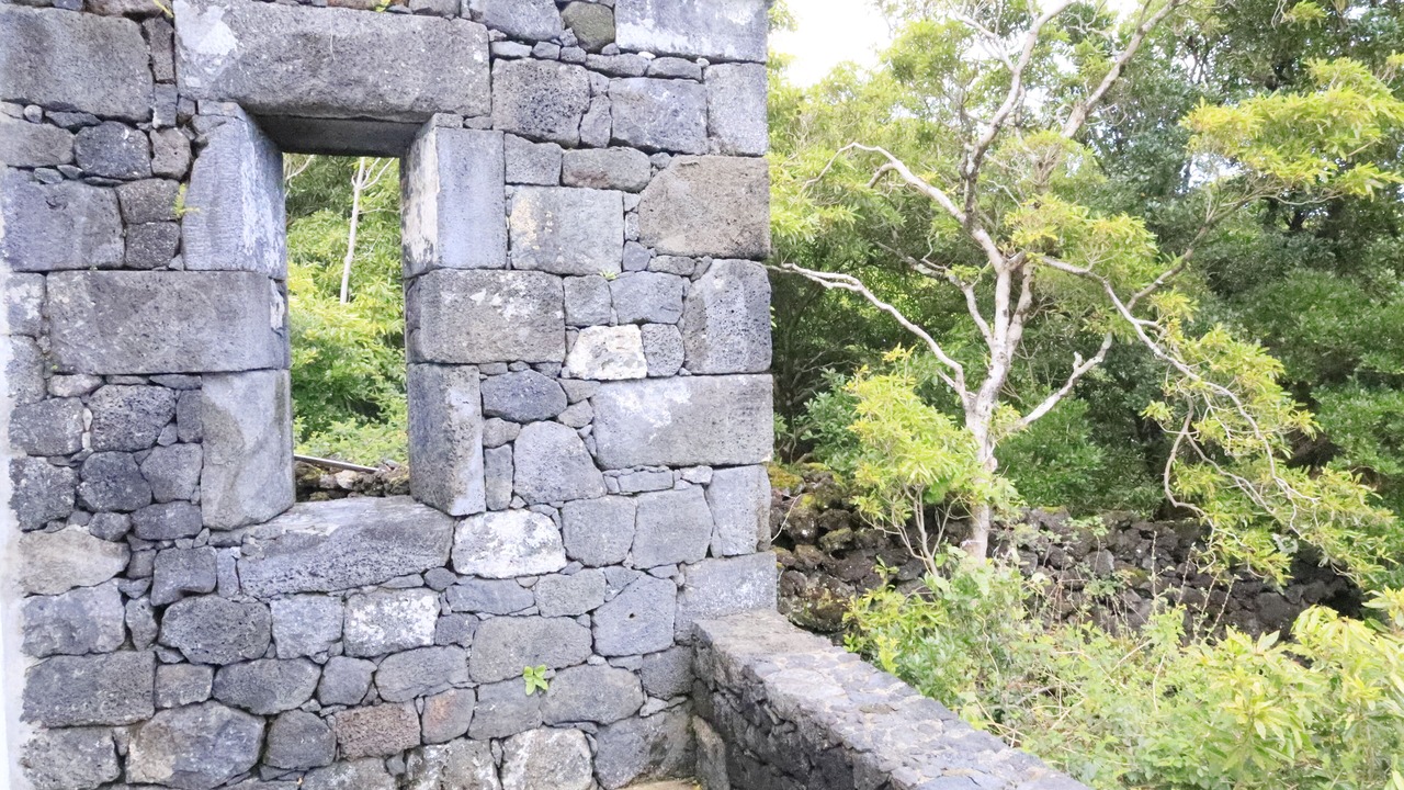 Photo of Outdoor in Sao Roque do Pico