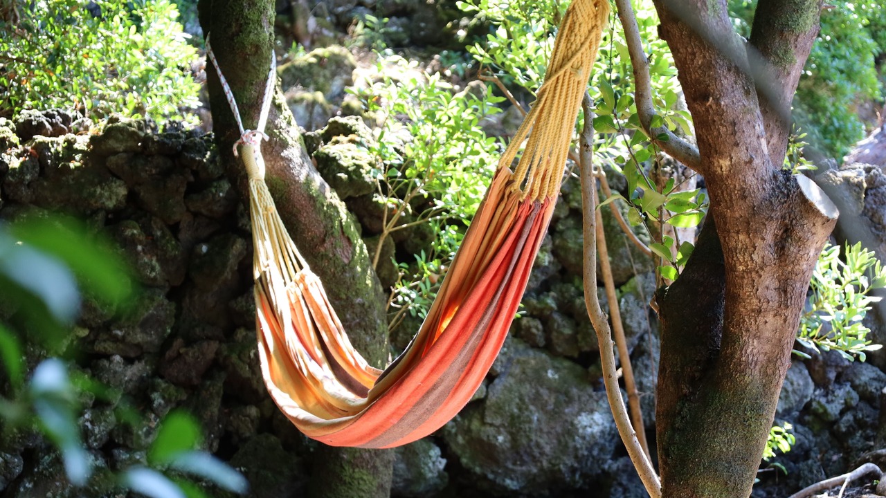 Photo of Others in Sao Roque do Pico