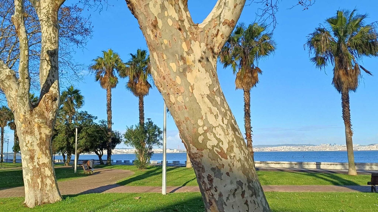 Photo of Others in Barreiro