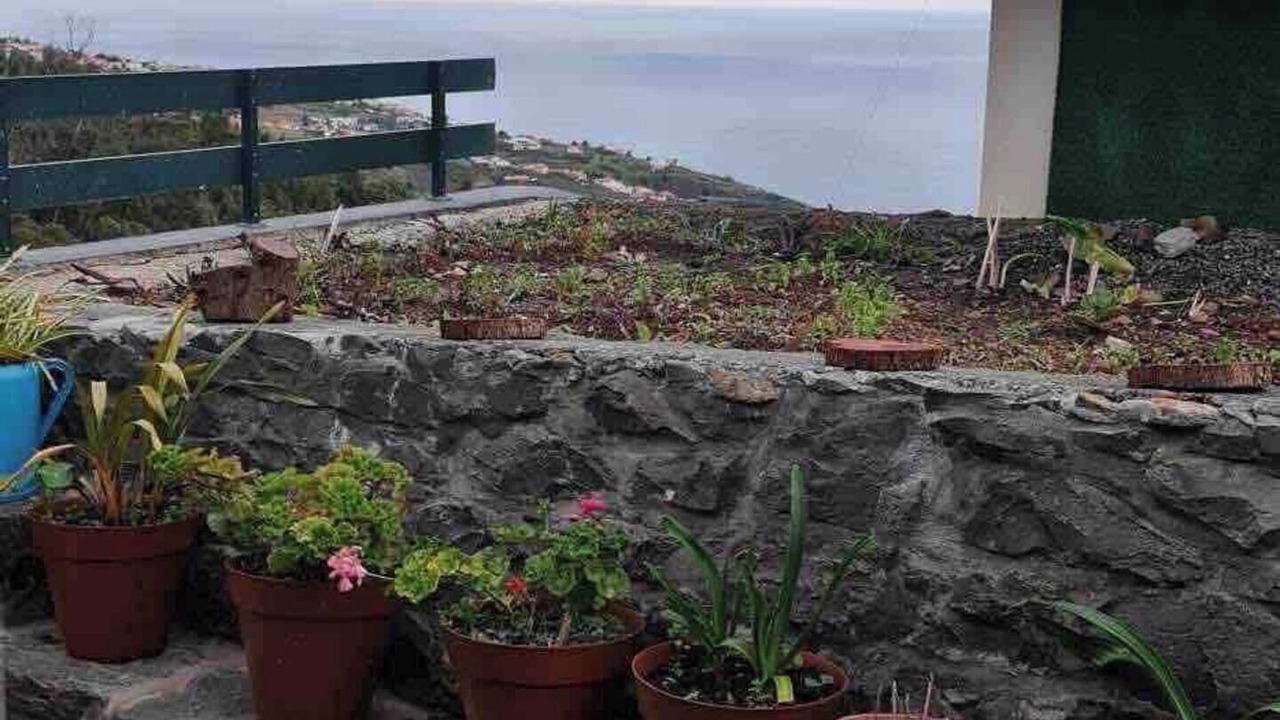 Photo of Others in Calheta
