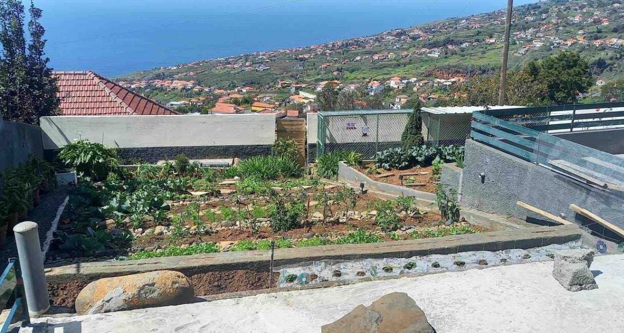 Photo of Outdoor in Calheta