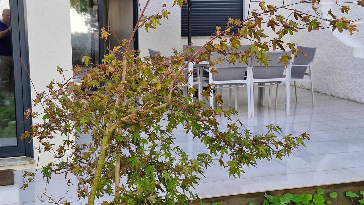 Photo of Patio Balcony in Vila do Conde